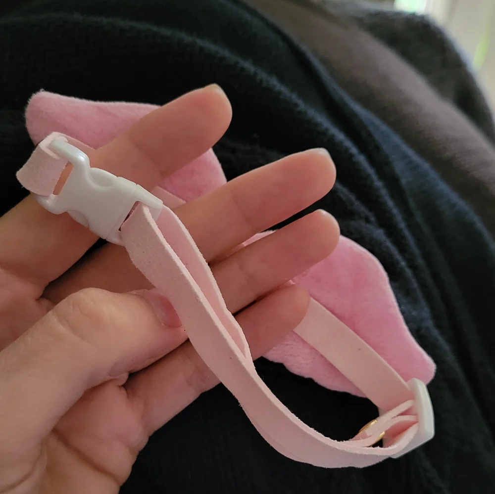 Pink angel wings for pet